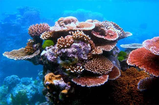 greatbarrierreef3