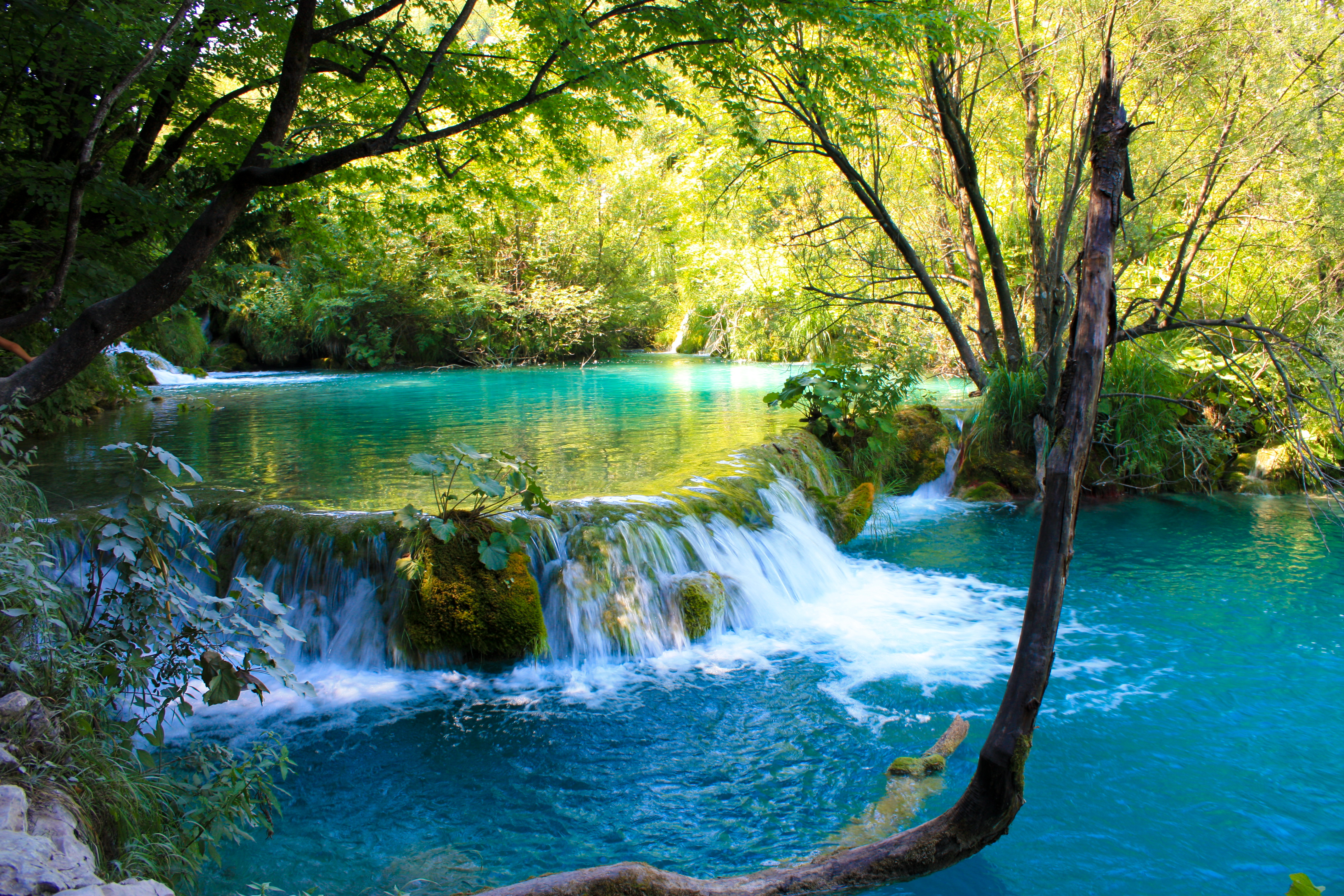 Красивое видео воды. Плитвицкие озера. Плитвицкие озёра растения. Плитвицкие озёра Хорватия фотообои. Плитвицкие озера осенью.