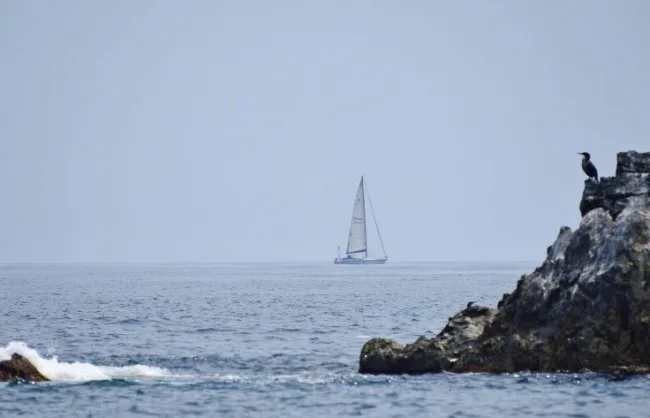 Elfon_2