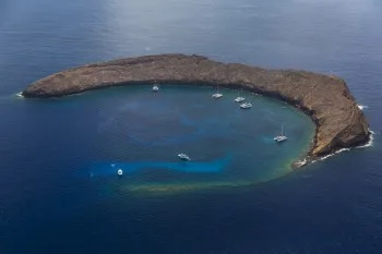 beginning-dive-sites-molokini