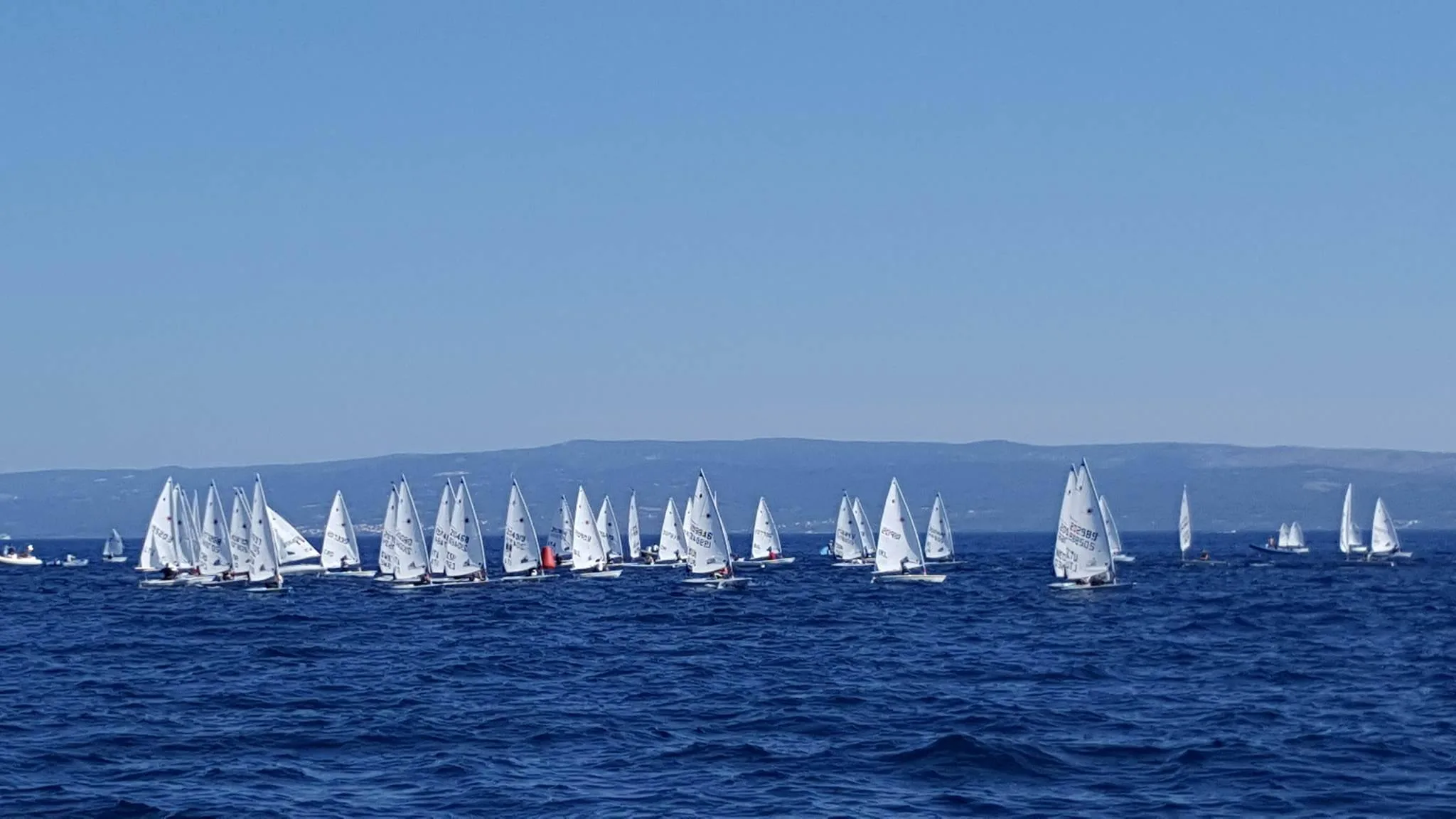 14124362_311182899239039_8361974337093597132_o