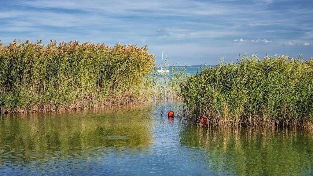 Egyre jobban melegszik a Balaton