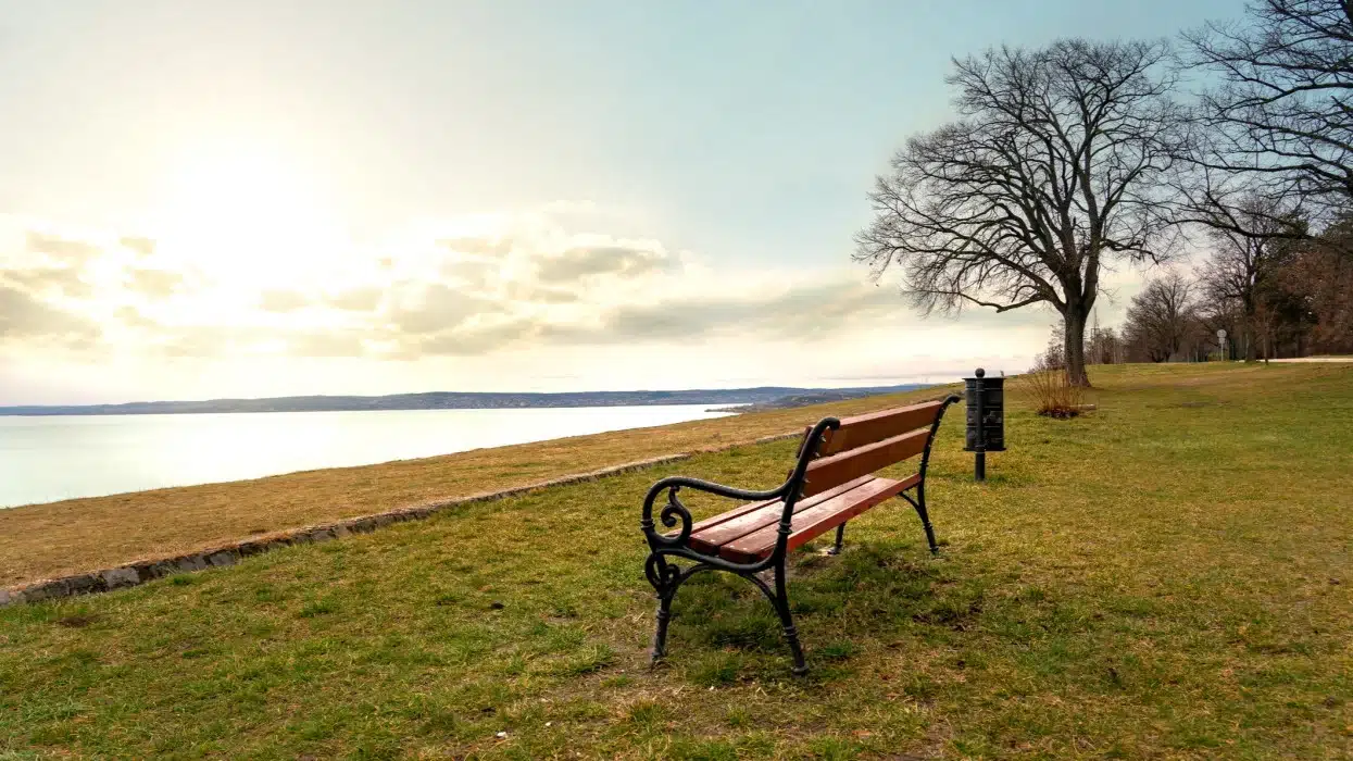 A képhez tartozó alt jellemző üres; 1765969180-mTcViyjdz_lg-1024x576.jpg a fájlnév