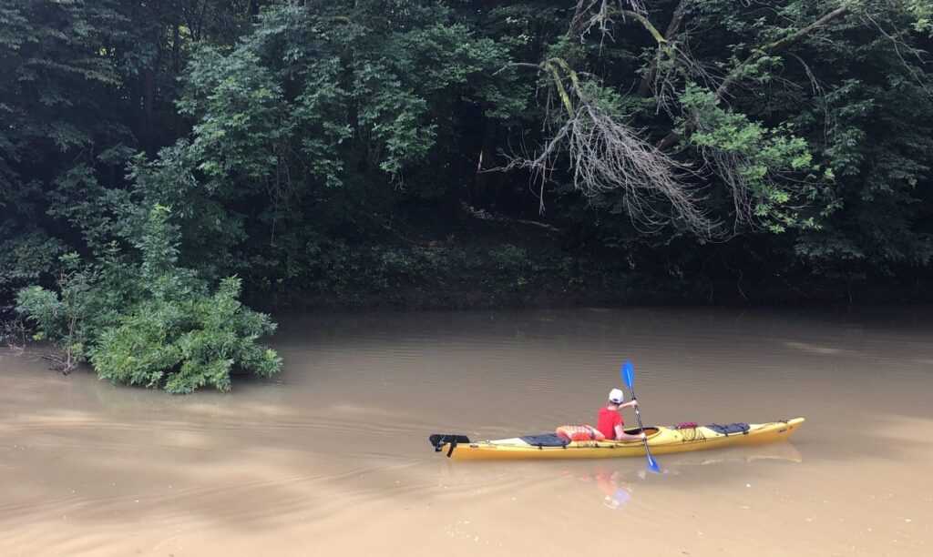 Heverésző szarvas a Bodrog partján