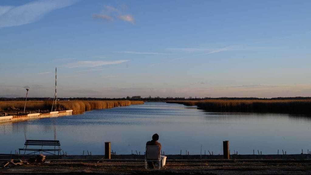 Halpusztulás a Velencei-tavon