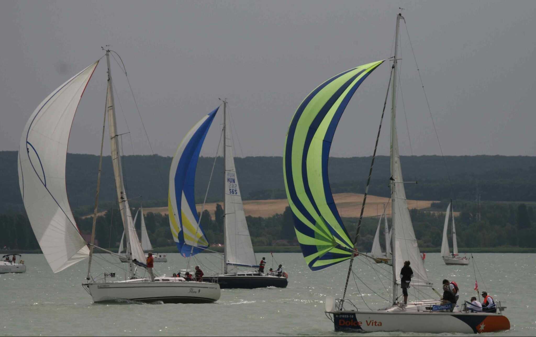 balatonregatta1