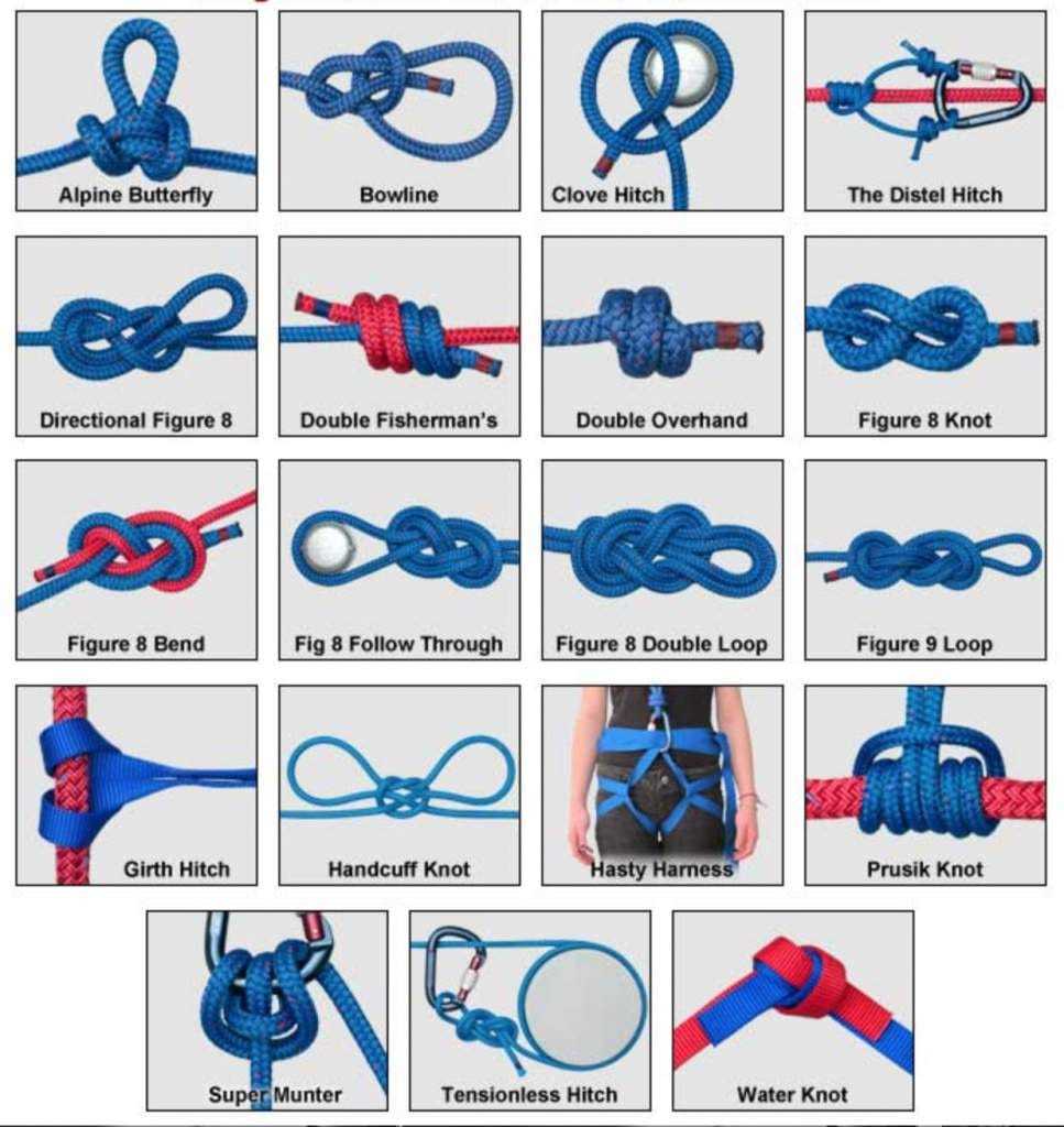 knots1