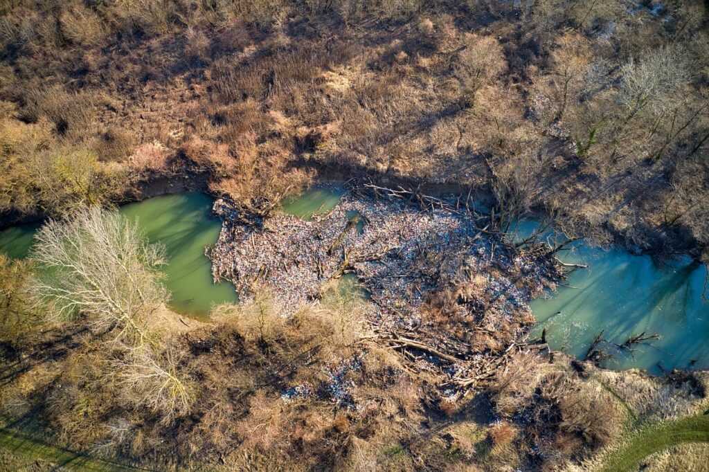 A Borzsa-folyó egy szakasza